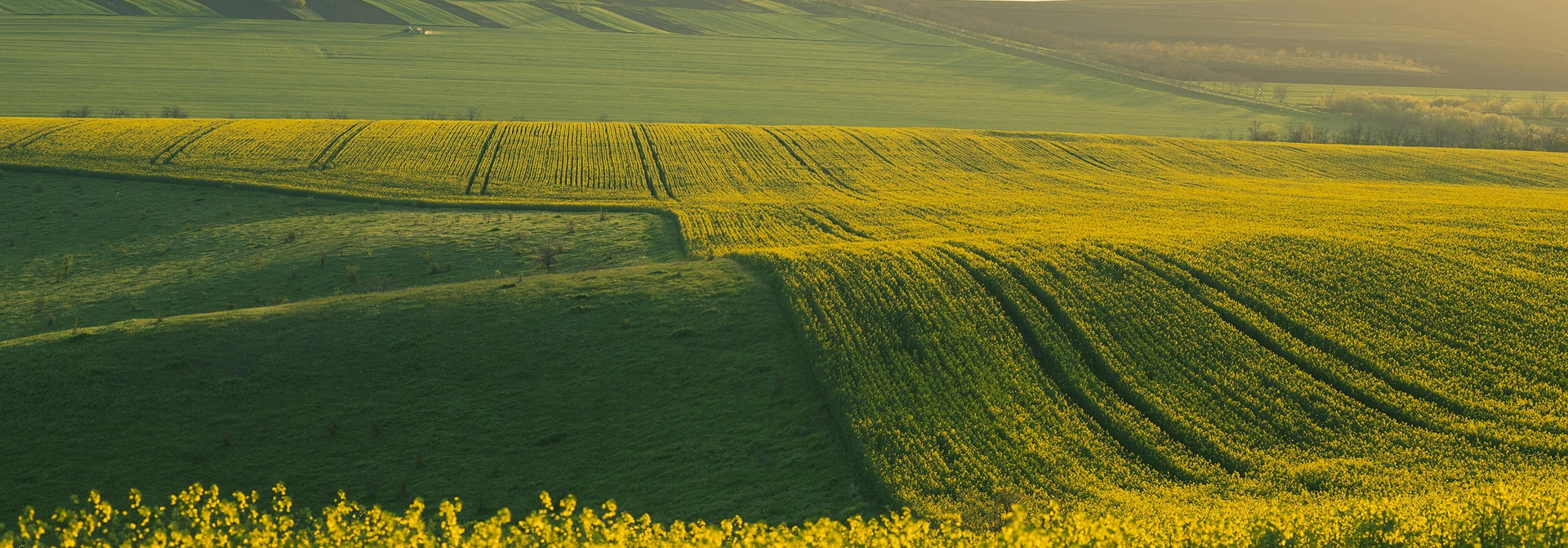 Growing Better Crops Together.