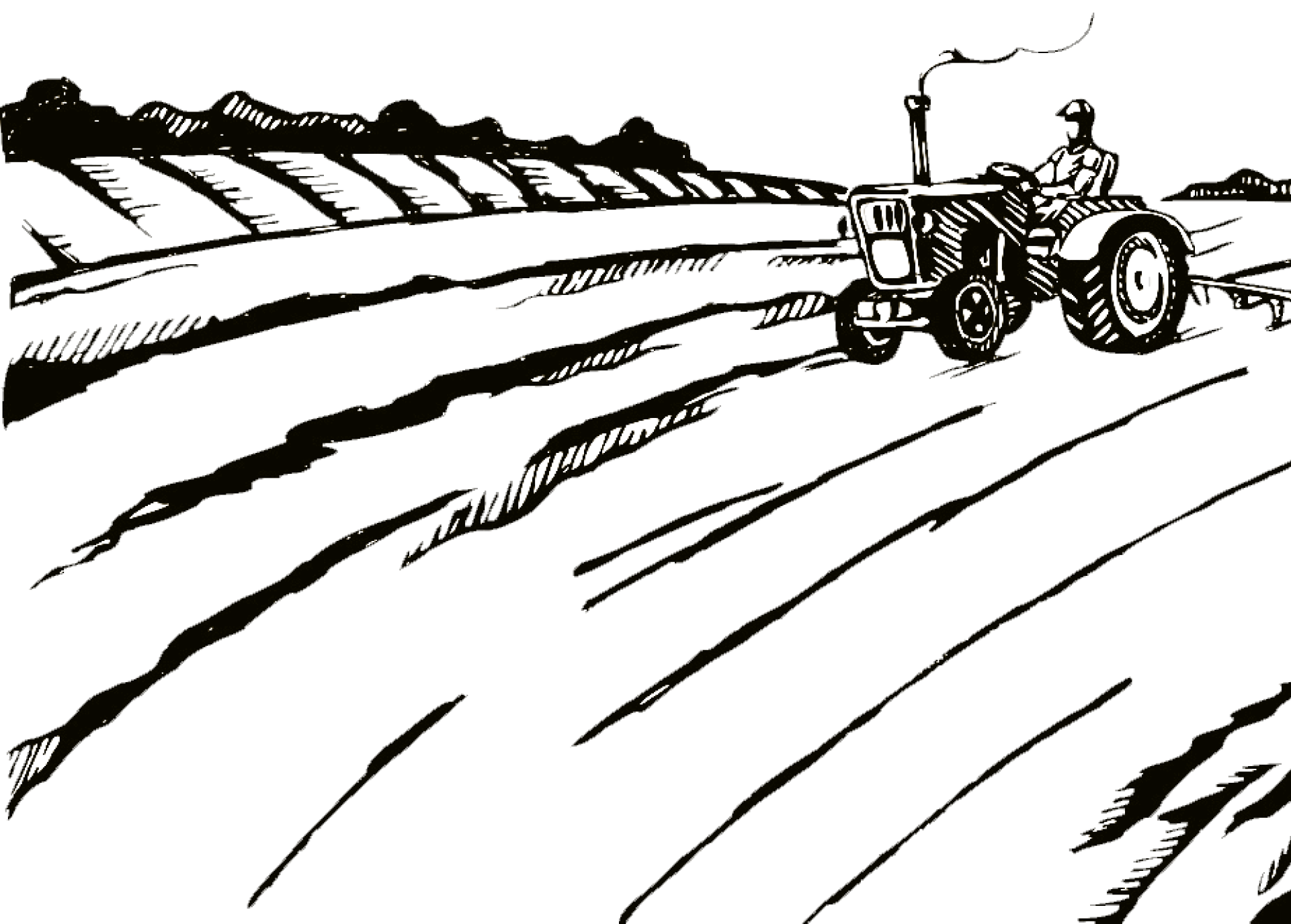 Background Texture