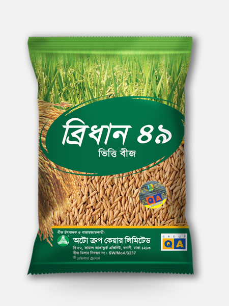 BRRI DHAN 49 : Foundation Rice Seed