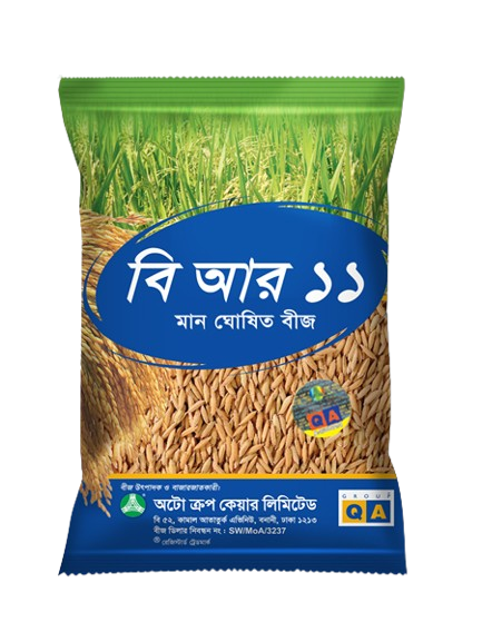 B R 11: Certified Rice Seed
