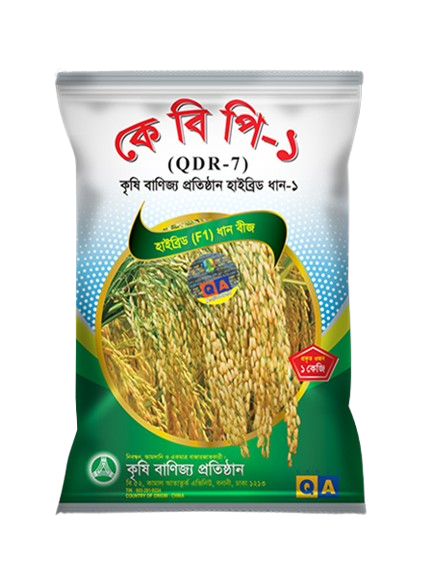 KBP-1 (QDR-7): Hybrid Rice Seed