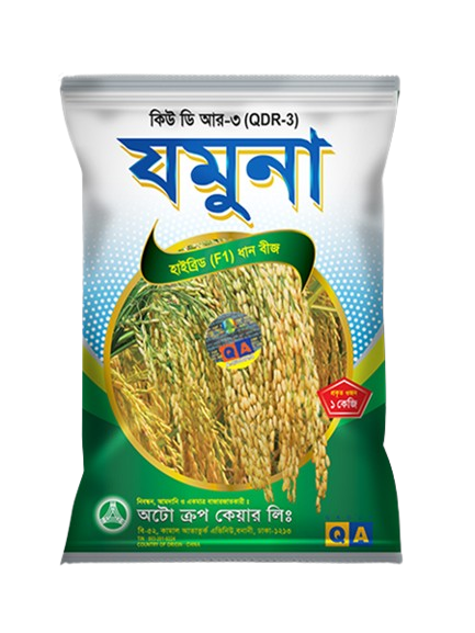 QDR-3 Jamuna : Hybrid (F1) Rice Seed