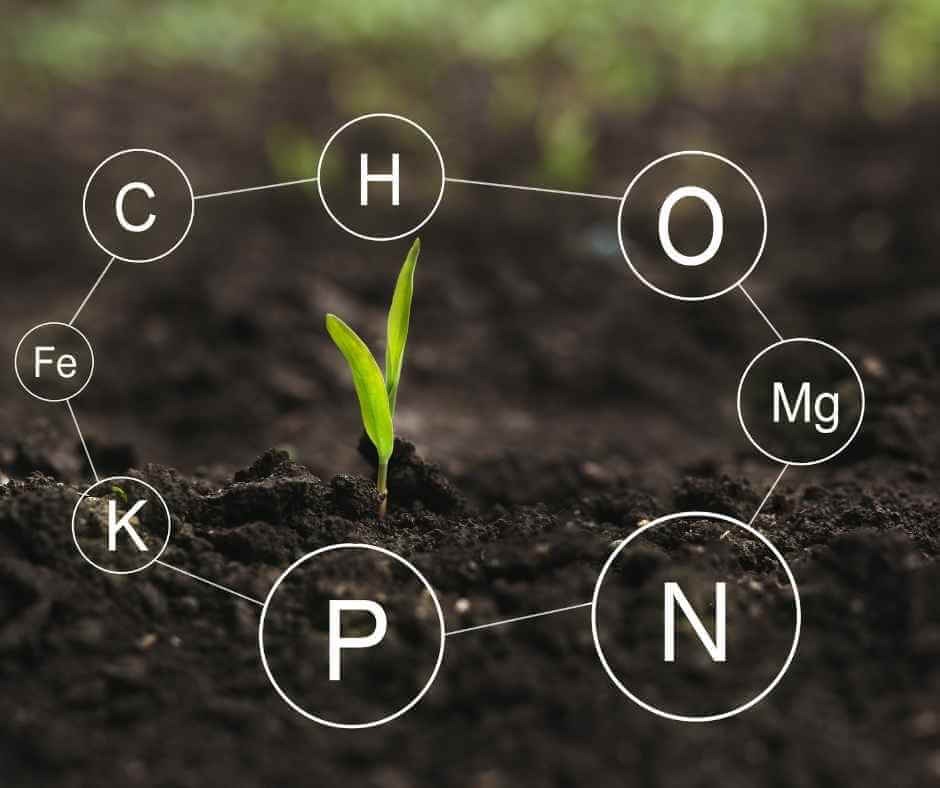 Micro Nutrients